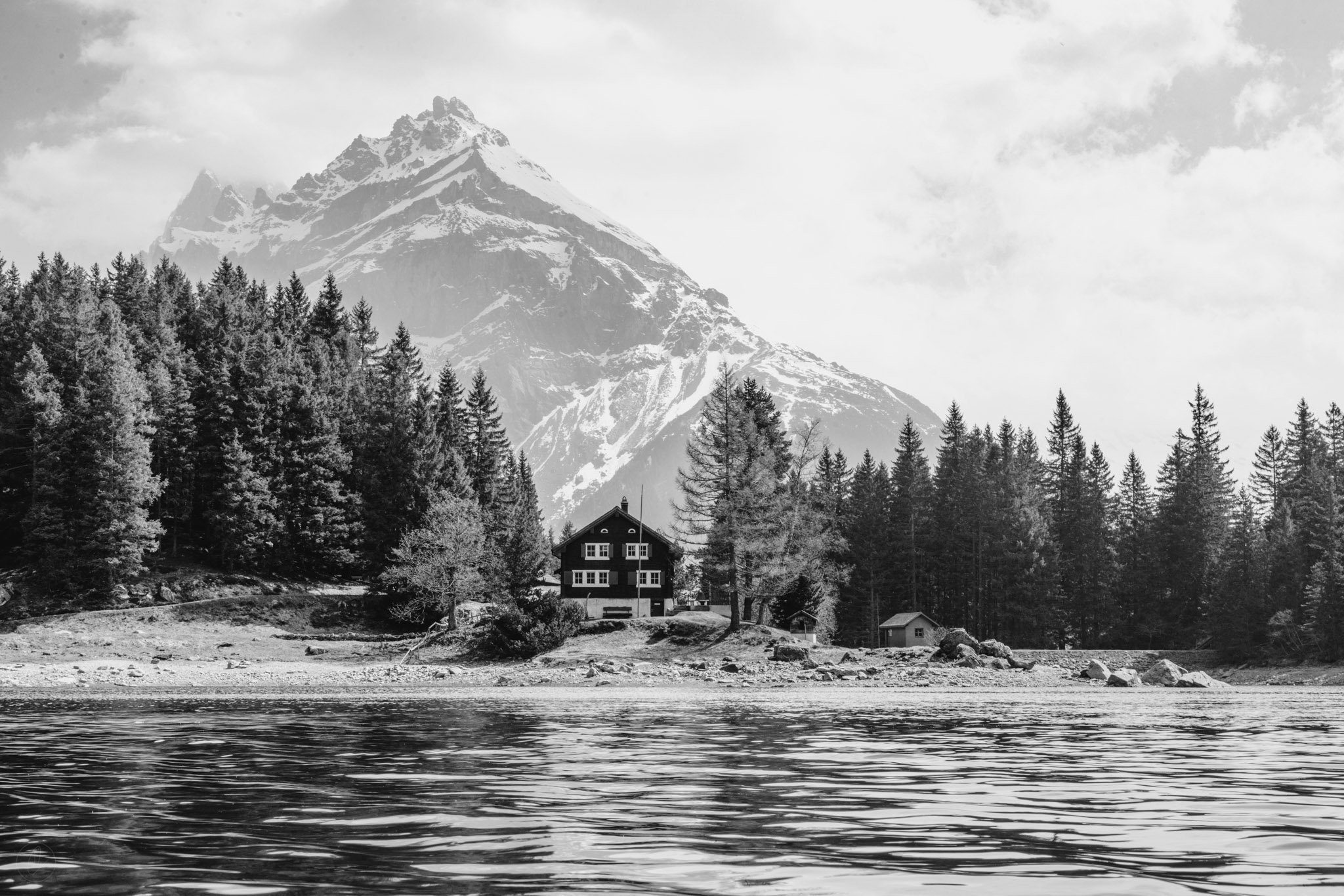 Intelligence Network a propos nature cabane