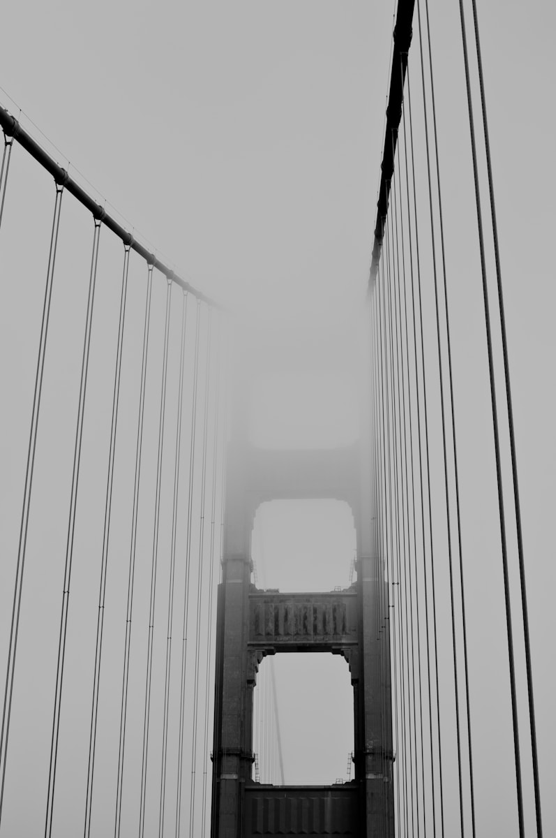 Intelligence Network Formations Bridge